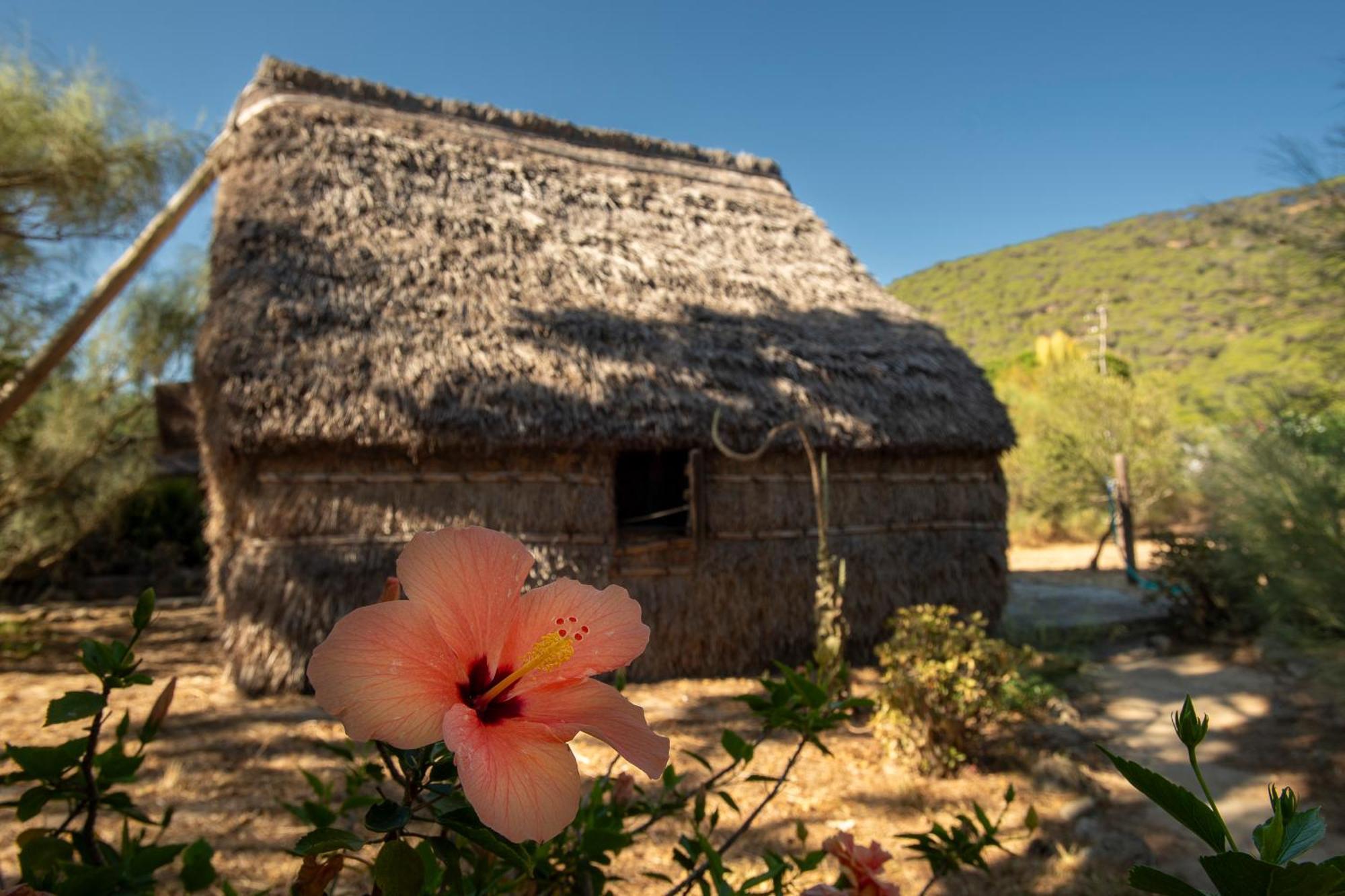 Appartamento Casas Karen Los Canos De Meca Esterno foto